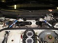 <A HREF=http://phoenixproracing.com/index.cfm?template=catalog&form_product=491>Back to 2000 Porsche GT3 Cup for Sale</A> 