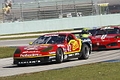 _MG_0486_resize.JPG