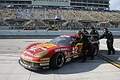 _MG_1042_resize.JPG