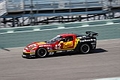 _MG_9939_resize.JPG