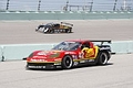_MG_9948_resize.JPG