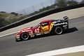 _MG_2230_resize.JPG