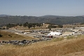 _MG_3142_resize.JPG