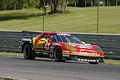 _MG_4007_resize.JPG