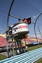 IMG_8168_resize.JPG