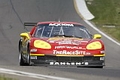 _MG_8167_resize.JPG