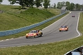 _MG_8690_resize.JPG