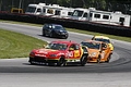 _MG_1826_resize.JPG
