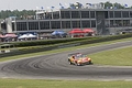 _MG_7599_resize.JPG