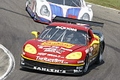 _MG_6234_resize.JPG