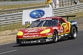 _MG_8479_resize.JPG