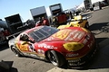 IMG_8246_resize.JPG