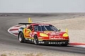 _MG_9535.jpg