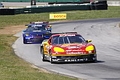 _MG_6271_web.JPG
