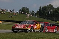 _MG_1297_resize.JPG