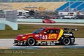 _MG_0008.jpg