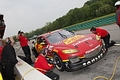 _MG_4696_resize.JPG