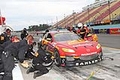 IMG_7238.jpg