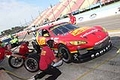 IMG_4144.jpg