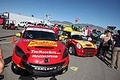 IMG_6557.jpg