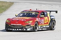 _MG_3952_resize.JPG