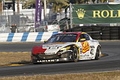_MG_8723_resize.JPG
