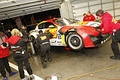 _MG_8372_resize.JPG