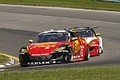 _MG_6227_resize.JPG