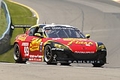 _MG_6309_resize.JPG
