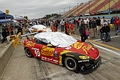 _MG_8141_resize.JPG
