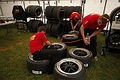 _MG_9796_resize_resize.JPG