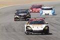 _MG_3660_resize.JPG
