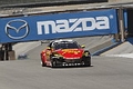 _MG_3537_resize.JPG