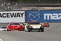 _MG_3499_resize.JPG