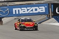 _MG_3557_resize.JPG