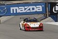 _MG_3558_resize.JPG