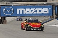_MG_3511_resize.JPG