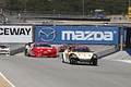 _MG_3483_resize.JPG