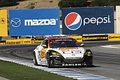 _MG_3785_resize.JPG