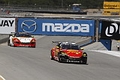 _MG_3490_resize.JPG