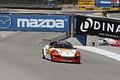 _MG_3491_resize.JPG