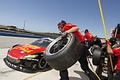 _MG_2073_resize.JPG