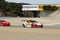 _MG_1102_resize.JPG