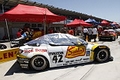 _MG_3370_resize.JPG