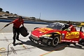 _MG_2077_resize.JPG