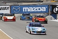 _MG_3425_resize.JPG