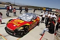 _MG_3374_resize.JPG