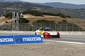_MG_1207_resize.JPG