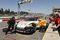 _MG_8350_resize.JPG
