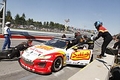 _MG_8359_resize.JPG